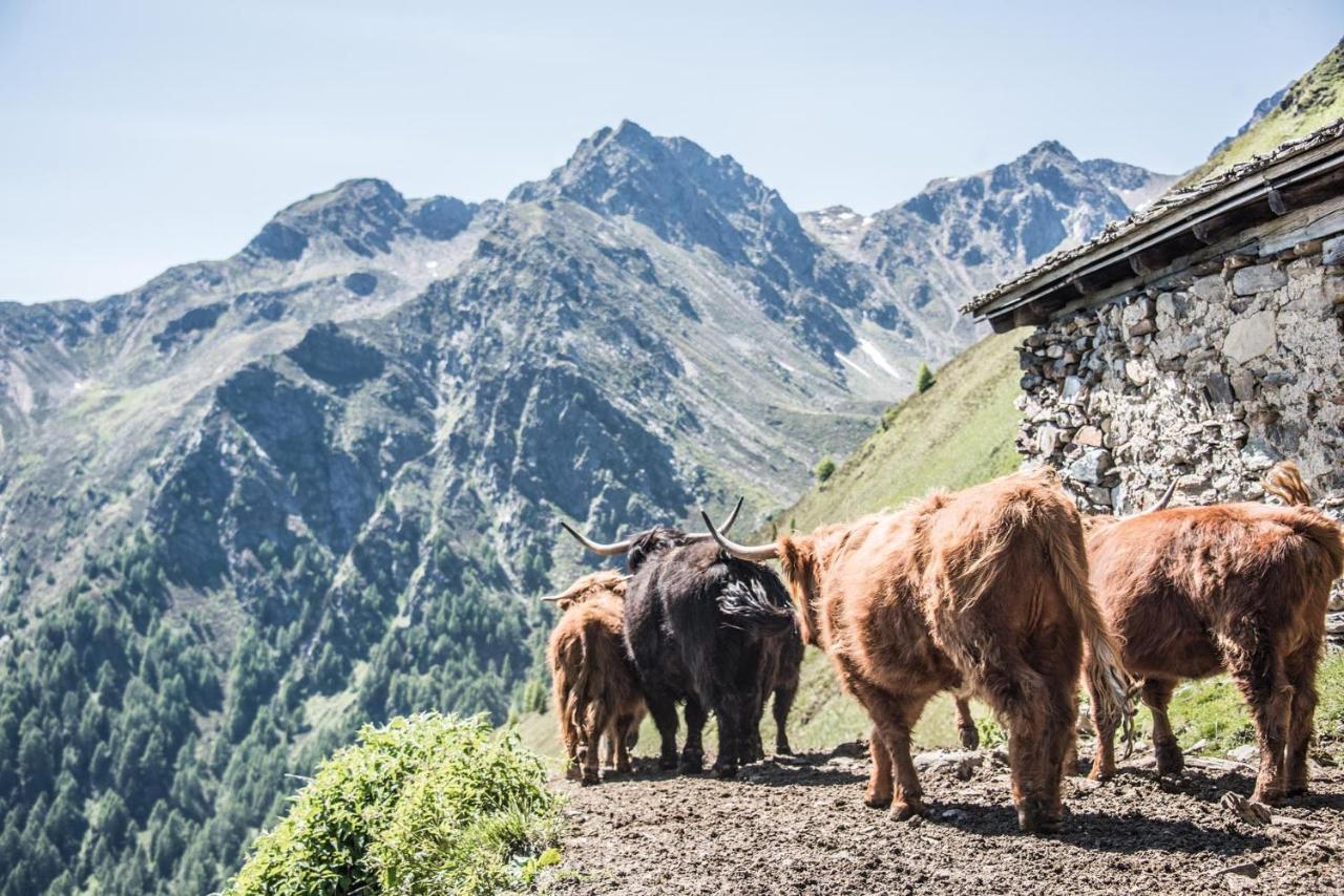 Archehof Hochzirm Lodge Anton Campo Tures Bagian luar foto